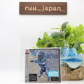 Bridges To Babylon SHM Paper Sleeve From Japan NEW