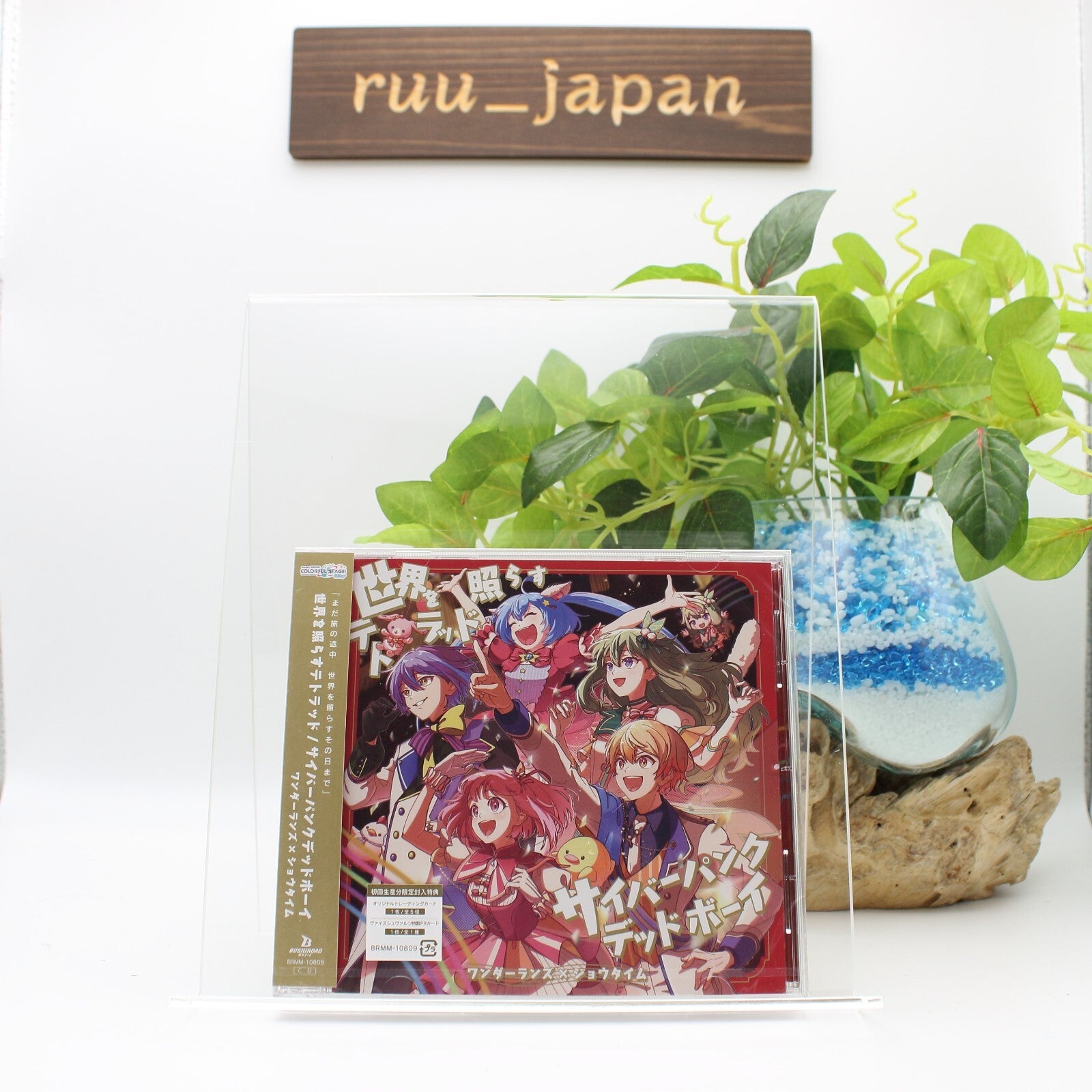 New Wonderlands x Showtime Sekai wo Terasu Tetrad/Cyberpunk Dead Boy HATSUNE
