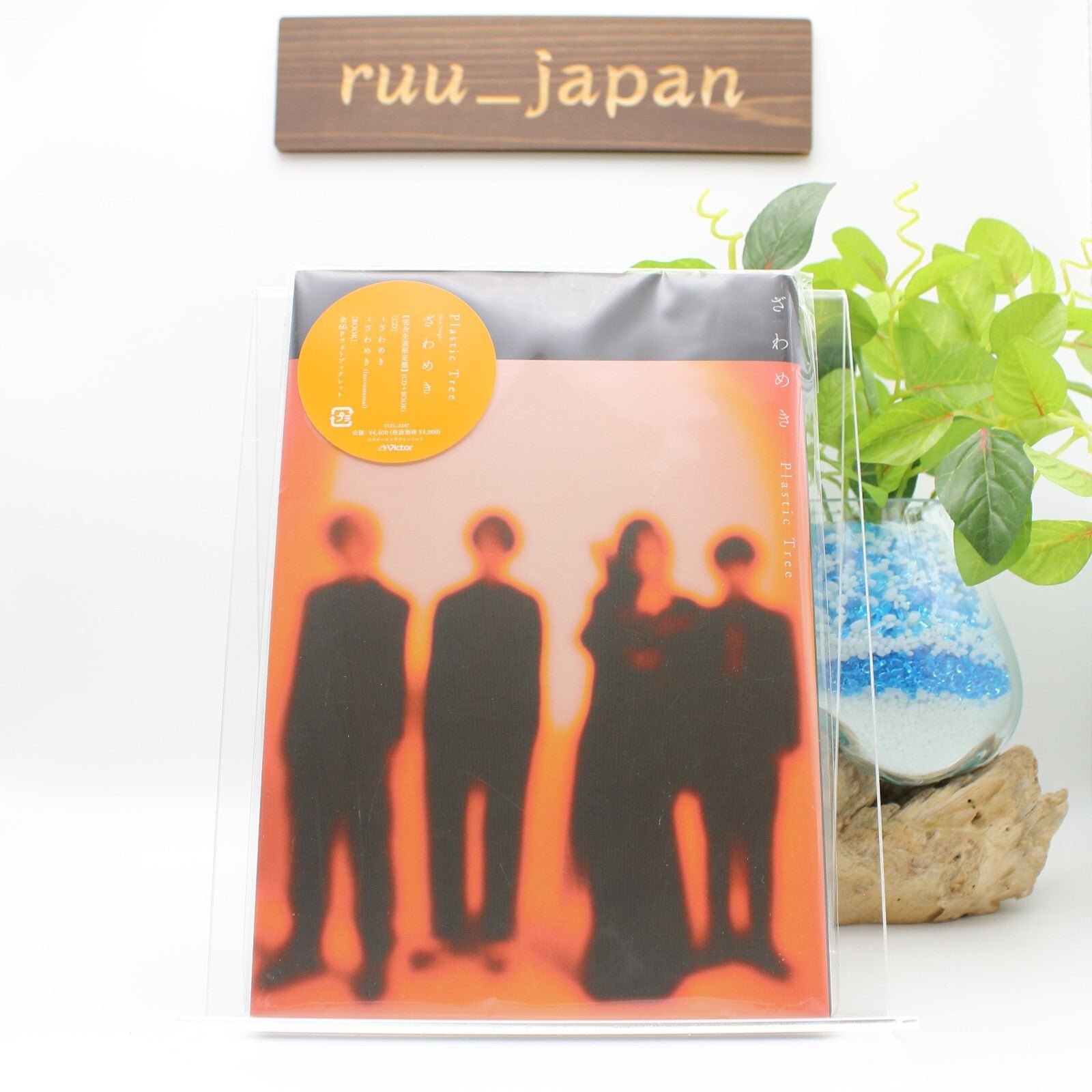 Zawameki with PHOTOBOOK Limited Edition Plastic Tree VIZL-2247 J-Pop CD NEW