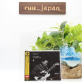 New Buddy Guy Blues CD I Was Walking Through The Woods Japan
