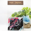 New [CD] Starwing Paradox Original Sound Track (ALBUM+DVD) from Japan