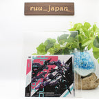 New [CD] Starwing Paradox Original Sound Track (ALBUM+DVD) from Japan