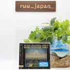 BLUE OYSTER CULT 50TH ANNIVERSARY LIVE FIRST NIGHT JAPAN 2 CD NEW