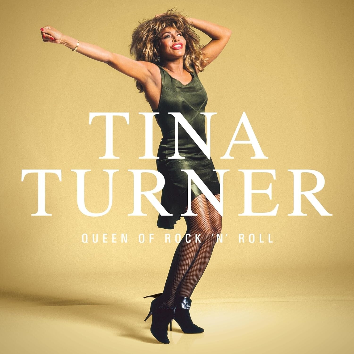 CD Tina Turner 3 CD Queen Of Rock N Roll Compilation 55 Tracks Japan OBI