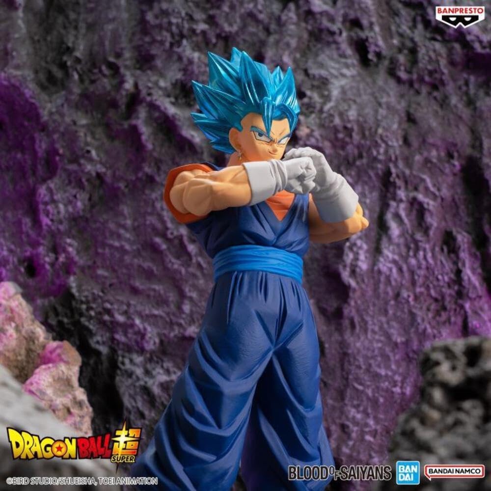 Dragon Ball Super BLOOD OF SAIYANS SPECIAL XIX Super Saiyan God Super Saiyan NEW