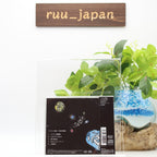 New SOUTAISEI RIRON-CHIFFON SHUGI-JAPAN CD