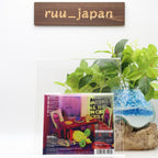 New underworld STRAWBERRY HOTEL + Bonus Track SHM-CD Japan edition