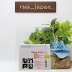 CASIOPEA MINT JAMS (1982) ISSEI NORO JAPAN CD New
