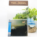 New Stuff Jazz/Fusion CD Live In New York Japan OBI