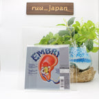 New EMBRYO Rocksession 2024 REMASTER JAPAN MINI LP SHM CD