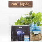 New ONE OK ROCK DETOX LIMITED FIRST EDITION CD + DVD JAPANESE