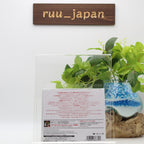 KISS-THE BEST OF KISS 40-JAPAN ONLY SHM-CD New