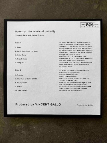 New Butterfly (Vincent Gallo / Harper Simon)/The Music Of Butterfly