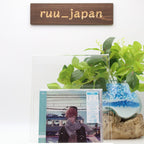 New GIVEN-GIVEN MARUTSUKE / FUYU NO HANASHI-(Regular Edition) (No Benefits) CD