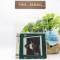 New Rainbow CD(SHM-CD) Bent Out Of Shape  Japan OBI