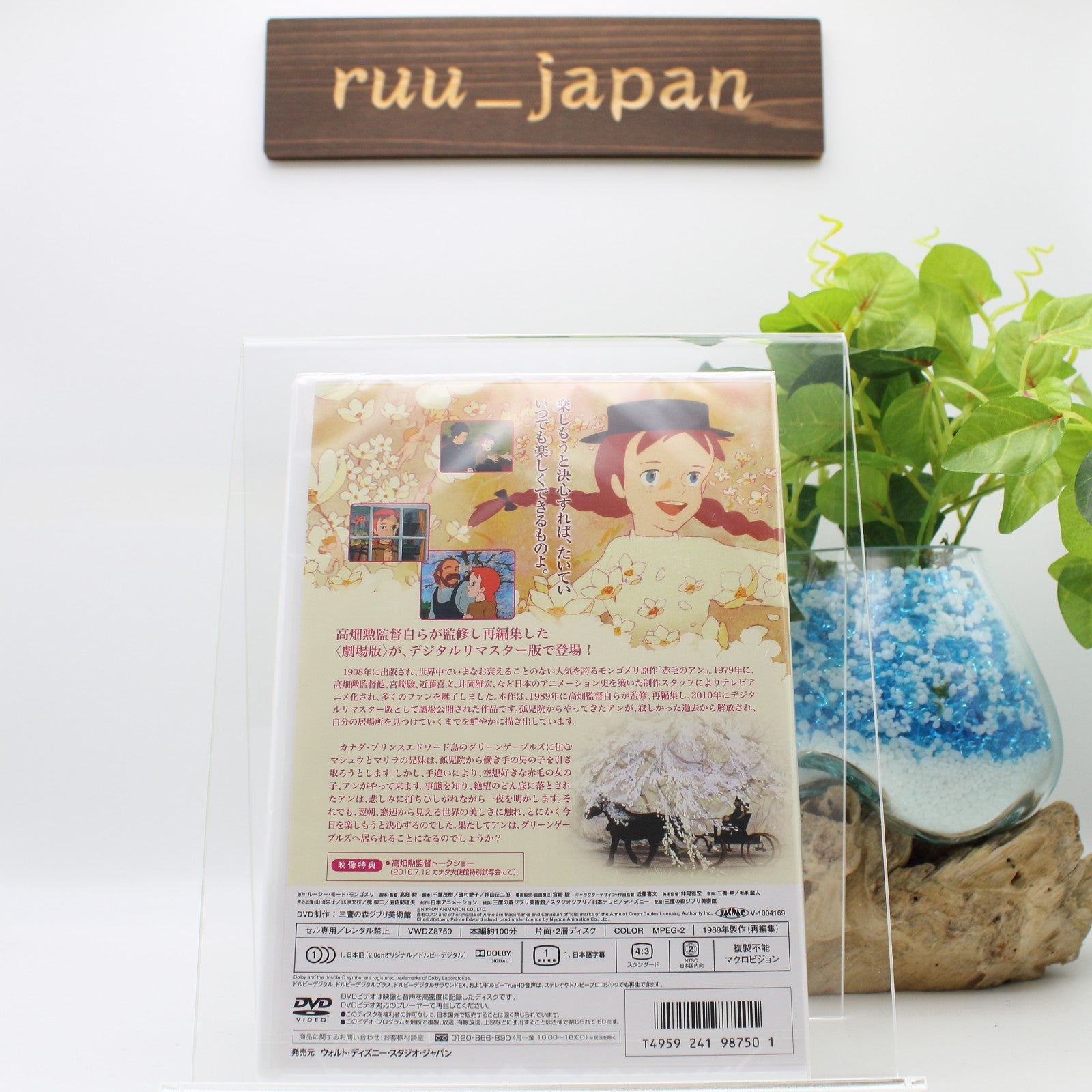 DVD New Anne of Green Gables-Road to Green Gables from Japan