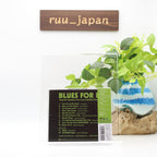 YAMAMOTO TSUYOSHI TRIO-BLUES FOR K-JAPAN CD From Japan NEW