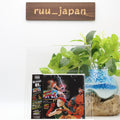 GAME MUSIC-Super Street Fighter II SFC + MD Original Soundtrack-JAPAN CD New