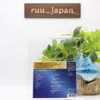 New PAT METHENY HERBIE HANCOCK DAVE HOLLAND JACK DEJOHNETTE LIVE 1990 JAPAN 2 CD
