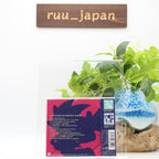 New (JAPAN) album CD Rock n Sonic The Hedgehog: Sessions (2CD+DVD)