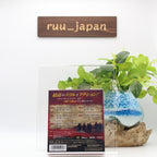 [Region 2] TV SERIES-FROM DUSK TILL DAWN SEASON 3 COMPACT -JAPAN 5DVDs BOX New