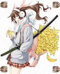 Shin Ikki Tousen First Limited Edition Blu-ray Booklet Post Card Box New
