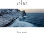 a-ha TRUE NORTH w/ 1 BONUS TRACK JAPAN CD From Japan NEW