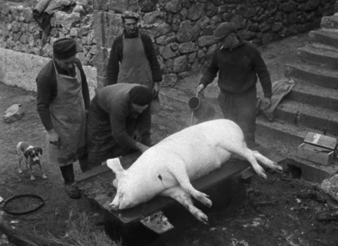DVD Director: Jean Eustache  Starring: Odette Robert - Number Zero / Pig [4K