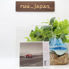 New Aspen Creek Tomorrow Take You Home Japan Music CD