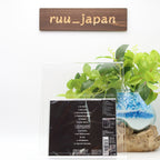 CONFESS-Burnem All-Japan CD New
