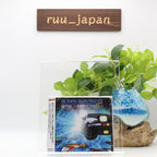Avex Pictures Super Eurobeat Presents Initial D Battle Stage 2 From Japan NEW