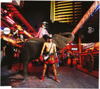New Seatbelts-Cowboy Bebop: Ask DNA-CD Japan