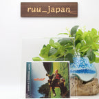 The Pillows-Happy Bivouac-Japan CD New