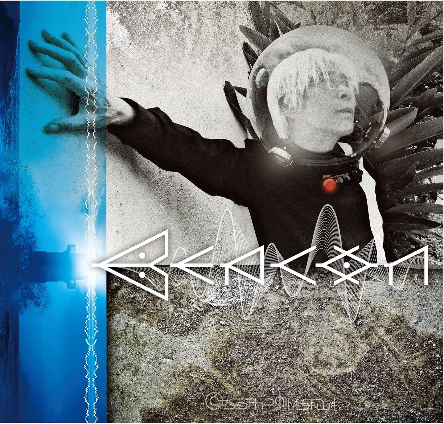 Susumu Hirasawa Beacon CD from Japan New