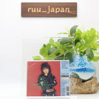 New Mari Hamada - RAINBOW DREAM [SHM-CD]