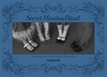 New tripleS Hacchi SecretHimitsuBimil Limited Edition Type B CD Blu-ray Japan