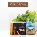 Grace Mahya - Last Recording at Dug CD From Japan New