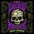 The Dead Daisies Holy Ground Japan Music CD Bonus Tracks New