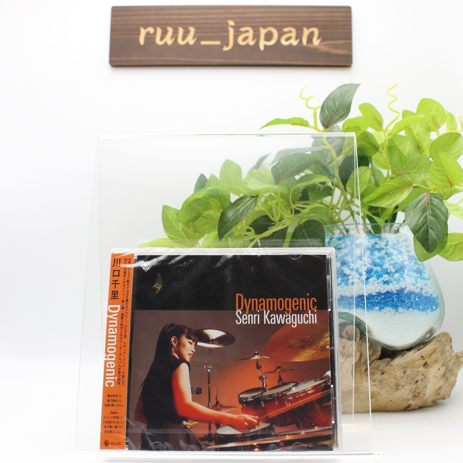 Senri Kawaguchi Dynamogenic CD Standard Edition New