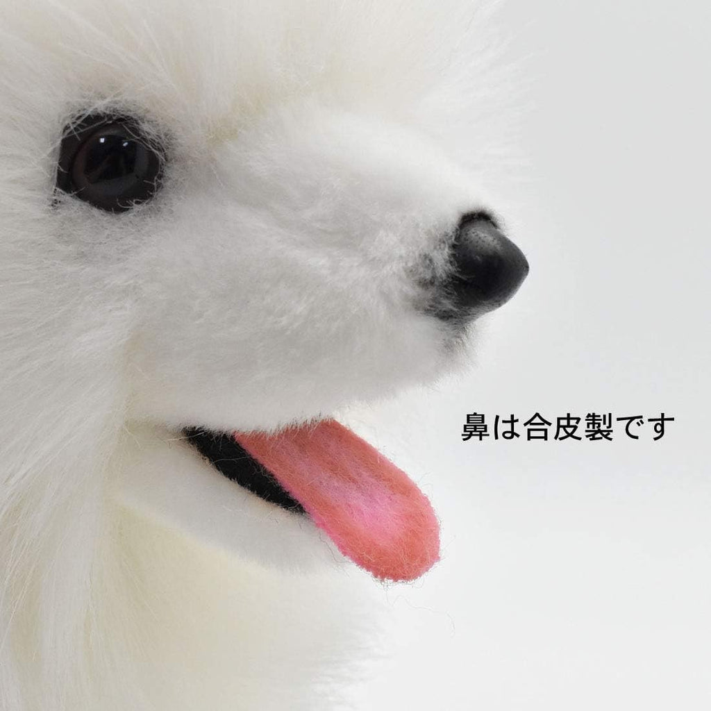 Samoyed Ken No.5267 NEW