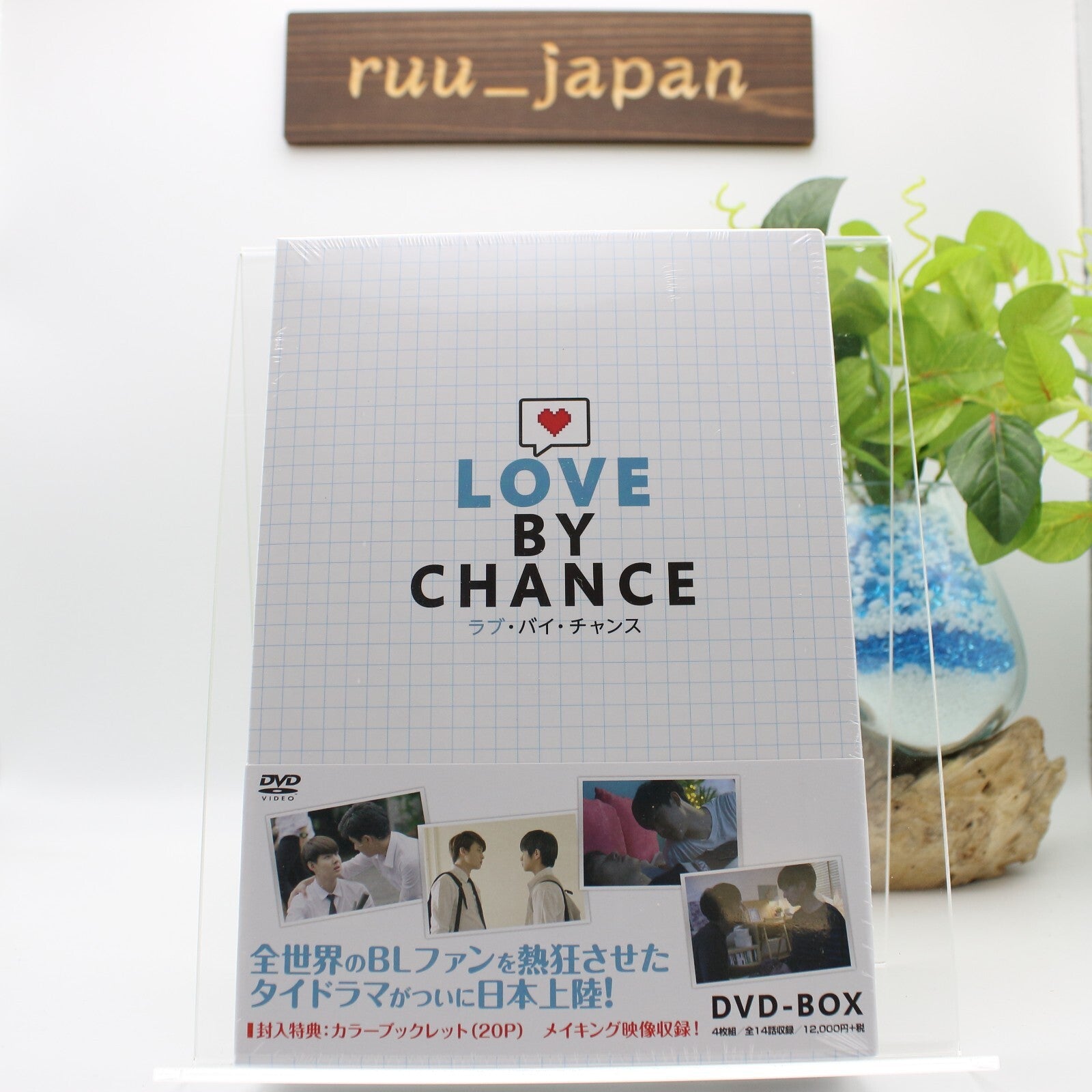 New Love by Chance DVD-BOX Standard Edition Thai BL Drama Series