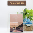 BTS WORLD TOUR LOVE SPEAK YOURSELF JAPAN EDITION Regular Edition DVD New