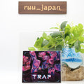 New Paradox Live 1st album TRAP JAPAN 2 CD