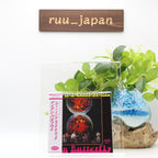 IRON BUTTERFLY Heavy + In-A-Gadda-Da-Vida JAPAN CD NEW