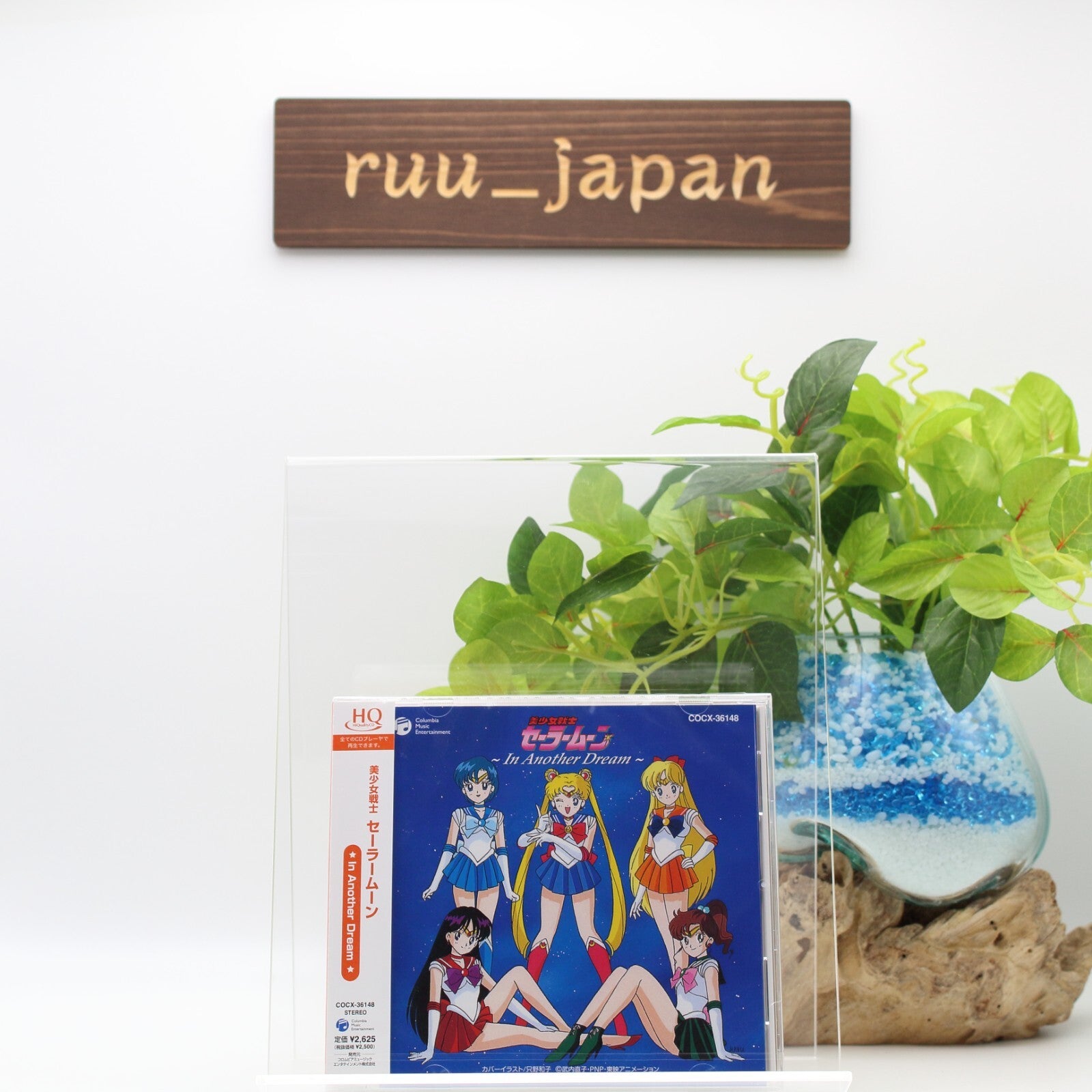 Pretty Guardian Sailor Moon -In Another Dream- JAPAN CD REISSUE New