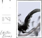 New Libertine Dreams First Limtied Edition with Blu-ray ver by INORAN Audio CD