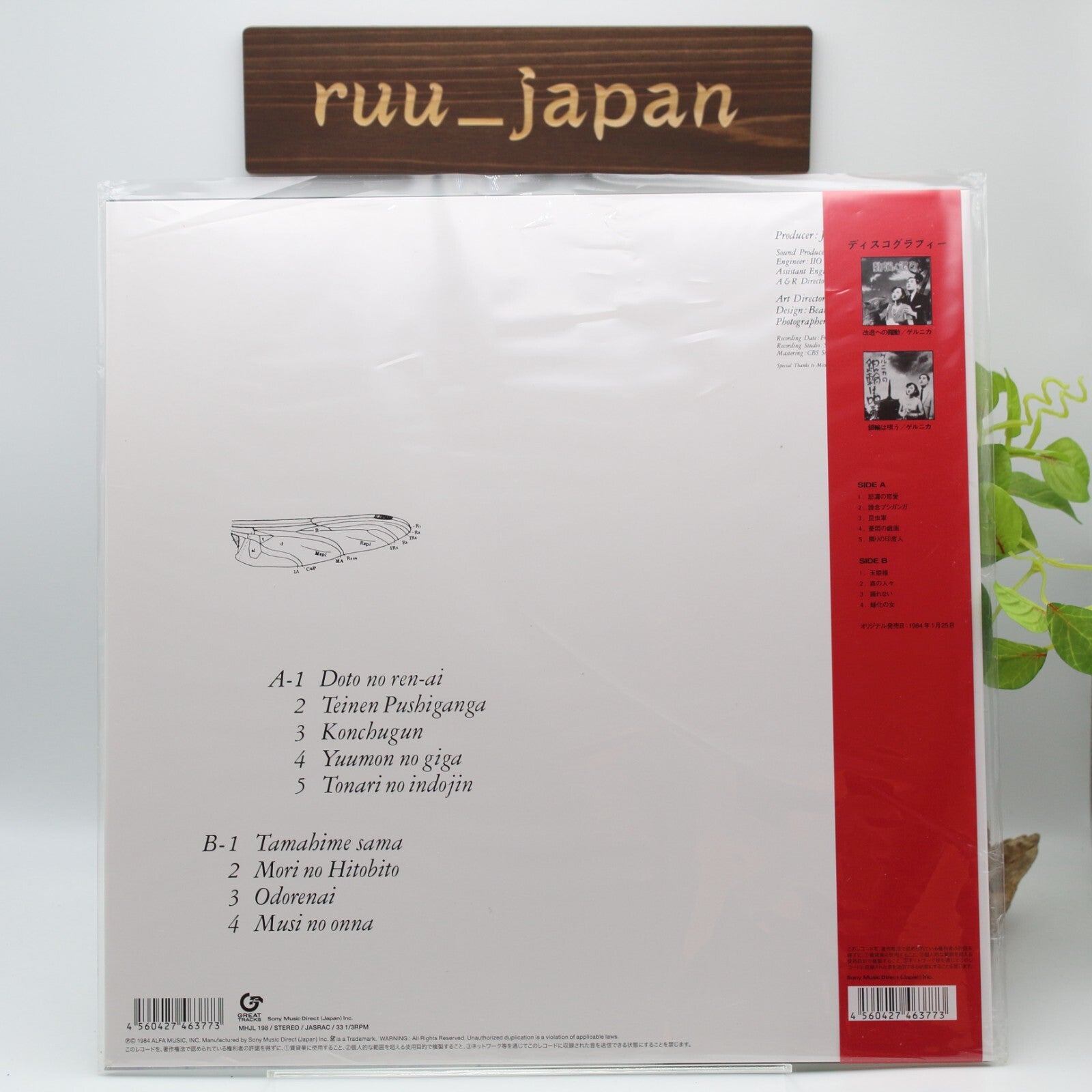 Jun Togawa / Tamahime Sama 1984 Clear Red Vinyl LP Japan New