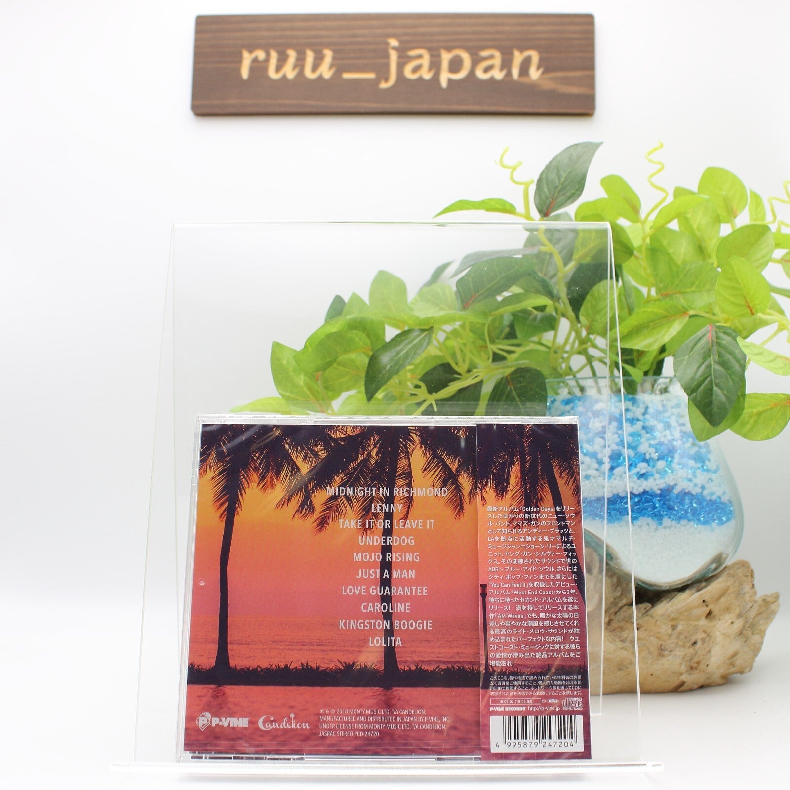 New Young Gun Silver Fox AM Waves Japan Music CD