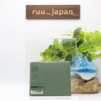 CAN LIVE IN ASTON 1977 JAPAN CD NEW