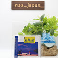 TOSHIKI KADOMATSU SEA IS A LADY JAPAN CD NEW